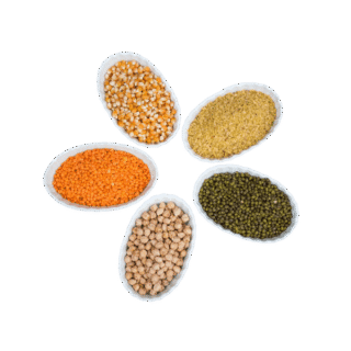 Dal & Pulses