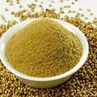 Coriander (Dhania)100 gm