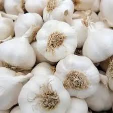 garlic 100 gram