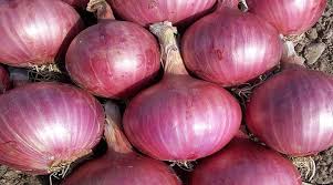 onion 1kg